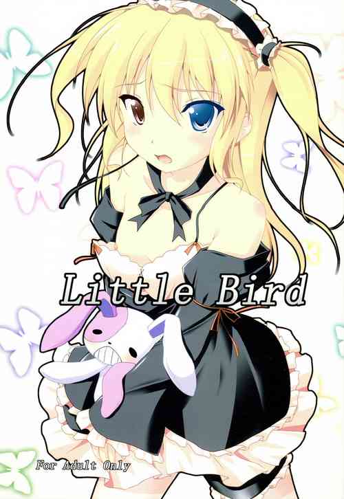 (C83) [Second Flight (Shiroyama Yoshiharu.)] Little Bird (Boku wa Tomodachi ga Sukunai)