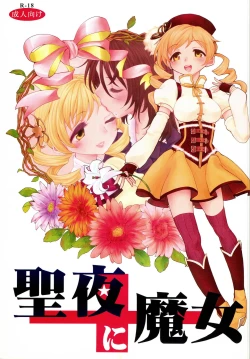 Page 1 of Seiya ni Majo