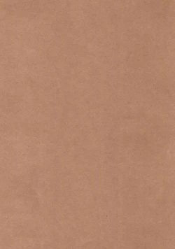 Page 4 of Lily Autumn Wind Lovers