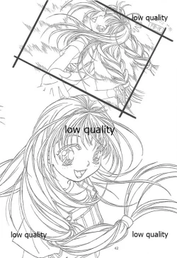 Page 41 of Flutter of birds 線画集