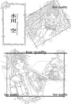 Page 62 of Flutter of birds 線画集