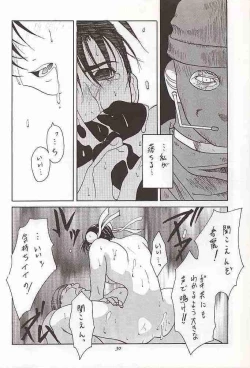 Page 29 of Tenimuhou 1