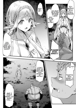 Page 17 of Midara na Elfkun ga Osuki | Lewd Elf Likes Orc-kun
