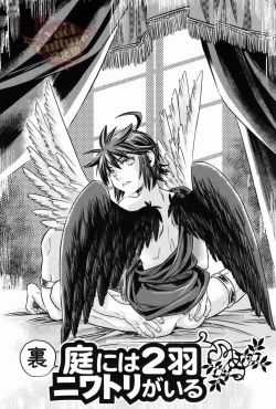 Page 27 of Niwa ni wa 2-wa Niwatori ga Iru