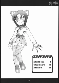 Page 3 of MAI-CCHING