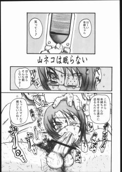 Page 4 of MAI-CCHING