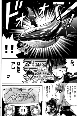 Page 13 of Shiba Athrun.