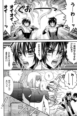 Page 23 of Shiba Athrun.