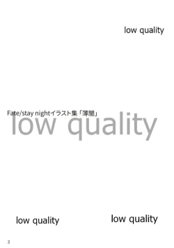 Page 3 of Fate/stay night Illust Shuu "Usuyami"