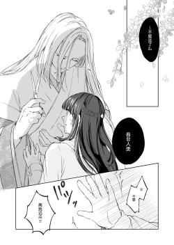 Page 12 of Hebigami-sama to Mitsugetsuki | 与蛇神大人的蜜月期