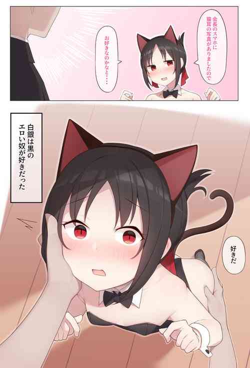 【arabi】nekomimi no kaguya-sama