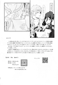 Page 29 of Catch the bunnit