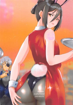 Page 32 of Catch the bunnit