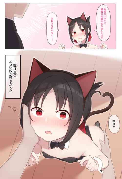 [Alapi] Nekomimi no Kaguya-sama (Kaguya-sama wa Kokurasetai)