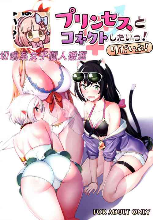 (C97) [Ikihaji Hummingbird (Amano Don)] Princess to Connect Shitai! ReDive! (Princess Connect! Re:Dive) [Chinese] [切嚕系女子個人搬運] [Decensored]