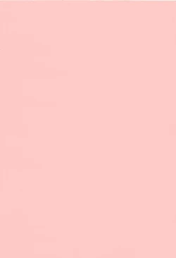 Page 166 of Nerawareta Niizuma