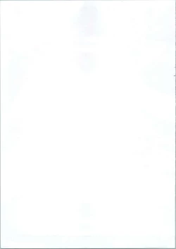 Page 17 of 20121231.C83