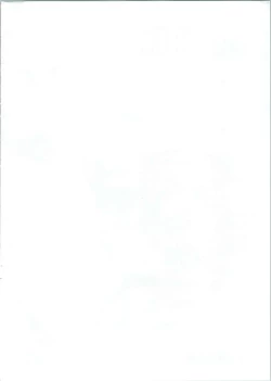 Page 3 of 20121231.C83