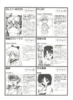 Page 196 of Shin Bishoujo Shoukougun 1 Reimei Hen