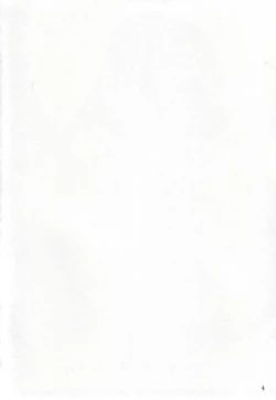 Page 3 of SHANAX GOGO!