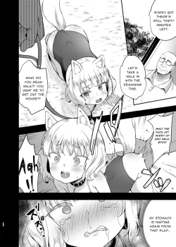 Page 14 of Seiyouken Choukyou 3