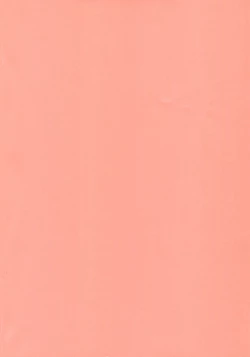 Page 3 of Kawaii Hito