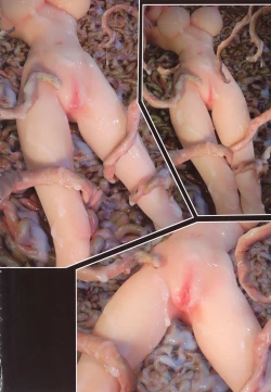 Page 4 of SEE-THROUGH ANGEL