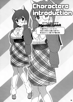 Page 35 of FLAMINGO; RABBIT STRAWBERRY