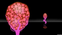 Page 10 of Pink Tentacle Creature