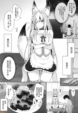 Page 27 of Houshi Shuzoku ga Yattekita!