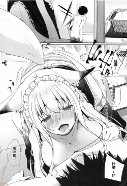 Page 29 of Houshi Shuzoku ga Yattekita!