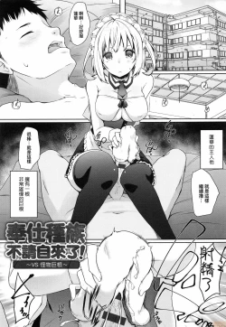 Page 66 of Houshi Shuzoku ga Yattekita!