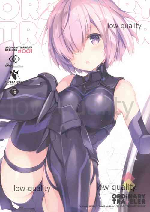 Download ORDiNARY TRAVELER QPCHICK #001