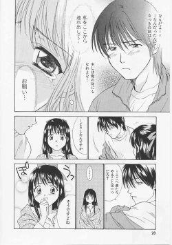Page 28 of Hana no You ni Tori no You ni