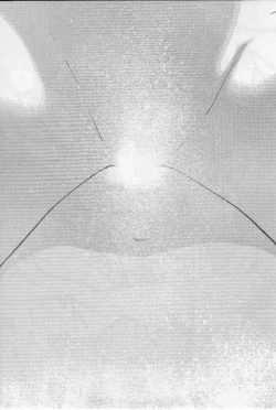 Page 49 of Virgin Night 2