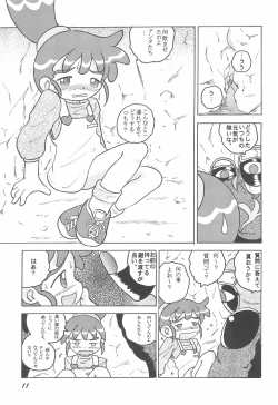 Page 13 of HI-PHS VII