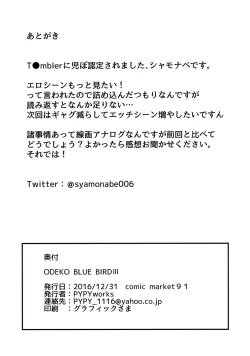 Page 17 of ODEKO BLUE BIRD III