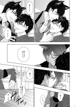 Page 23 of Wolf's Effector