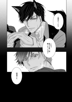 Page 32 of Wolf's Effector