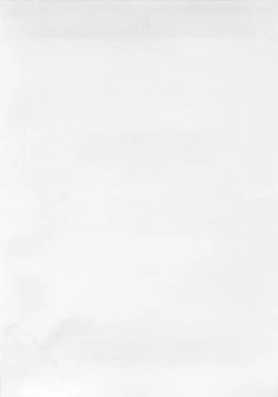 Page 3 of Afurete Kichau!