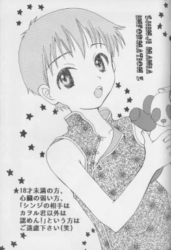 Page 2 of Shinjji Mania 3