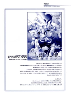 Page 3 of Fuzzy Theory