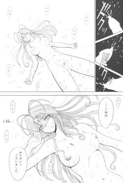 Page 28 of Megamiπr