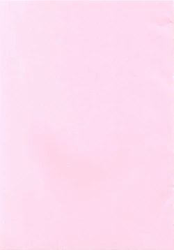 Page 2 of Koi no Install