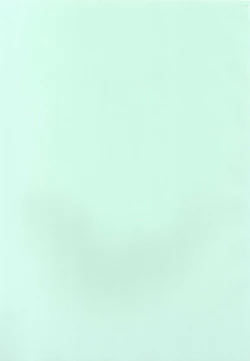 Page 35 of Mousou Sokkyousi