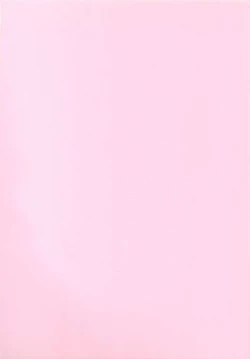 Page 27 of rudje en rudje rosa