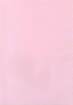 Page 2 of rudje en rudje rosa