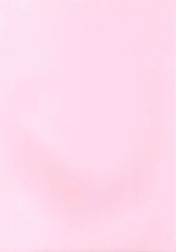 Page 2 of sarla oz enne