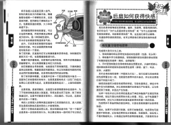 Page 19 of Introduction to the "Ananie" for boys 给男孩子的慰菊指导丛书