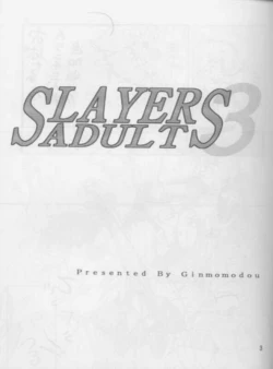 Page 2 of SLAYERS ADULT 3